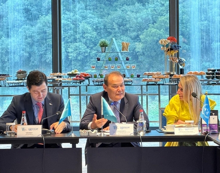 TIF and UN ESCAP Convened a Meeting to Advance TurkIPAnet Cooperation