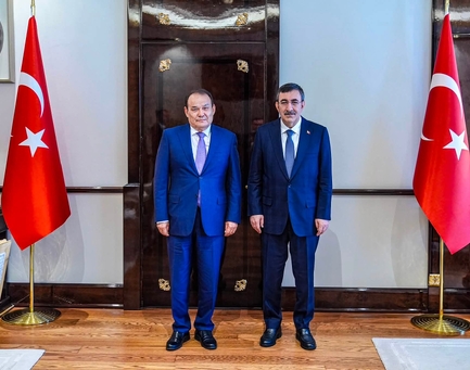 The President of TIF Was Received by the Vice President of Türkiye